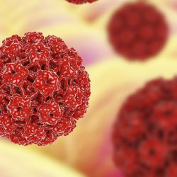 HPV tipizálás, a Humán Papillóma Vírus kimutatása